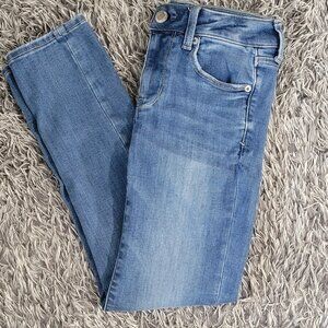 American Eagle Outfitters Blue Skinny Jeans Size 2